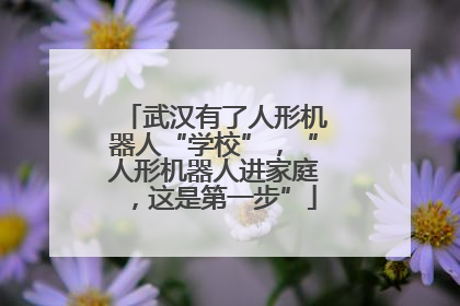 武汉有了人形机器人“学校”，“人形机器人进家庭，这是第一步”