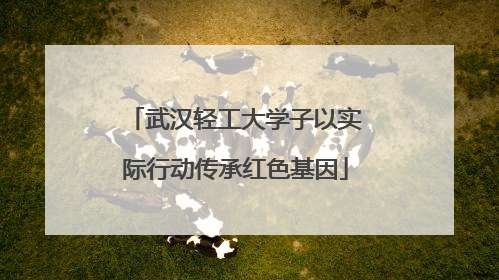 武汉轻工大学子以实际行动传承红色基因