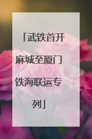 武铁首开麻城至厦门铁海联运专列