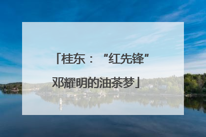 桂东：“红先锋”邓耀明的油茶梦
