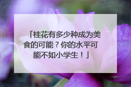 桂花有多少种成为美食的可能？你的水平可能不如小学生！