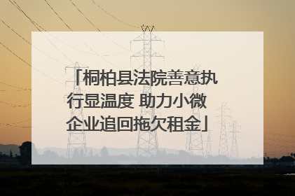 桐柏县法院善意执行显温度 助力小微企业追回拖欠租金