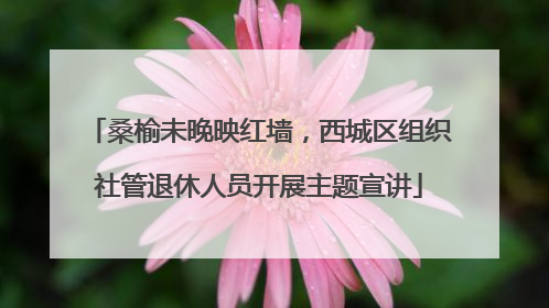 桑榆未晚映红墙，西城区组织社管退休人员开展主题宣讲