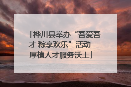 桦川县举办“吾爱吾才 粽享欢乐”活动 厚植人才服务沃土