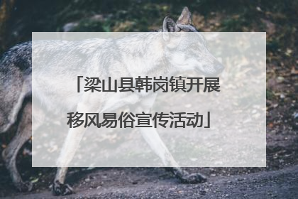 梁山县韩岗镇开展移风易俗宣传活动