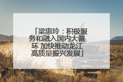 梁惠玲：积极服务和融入国内大循环 加快推动龙江高质量振兴发展