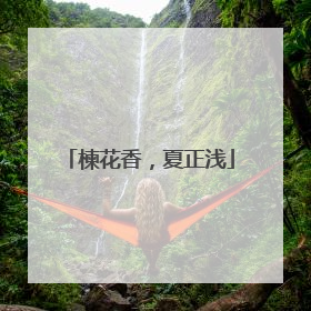 楝花香，夏正浅