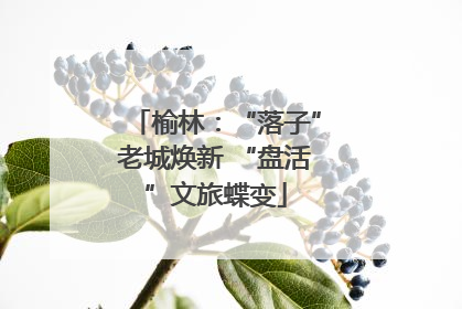 榆林：“落子”老城焕新 “盘活”文旅蝶变
