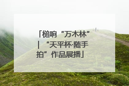 槌响“万木林”｜“天平杯·随手拍”作品展播