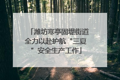 潍坊寒亭固堤街道全力以赴护航“三夏”安全生产工作