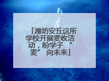 潍坊安丘这所学校开展麦收活动，盼学子 “麦” 向未来