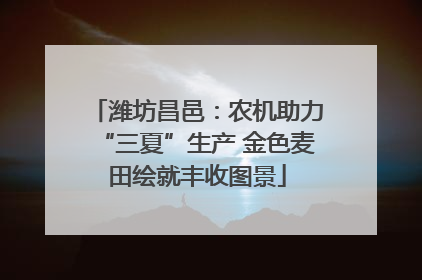 潍坊昌邑：农机助力“三夏”生产 金色麦田绘就丰收图景
