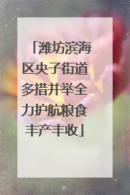 潍坊滨海区央子街道多措并举全力护航粮食丰产丰收