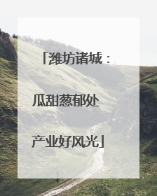 潍坊诸城：瓜甜葱郁处 产业好风光