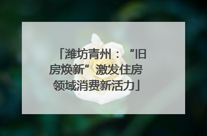 潍坊青州：“旧房焕新”激发住房领域消费新活力