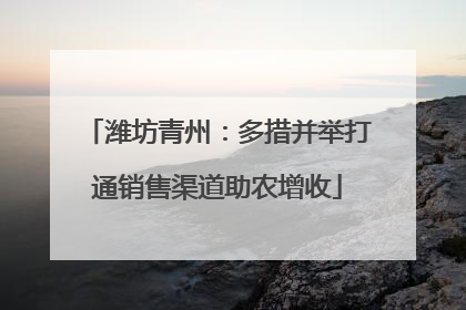 潍坊青州：多措并举打通销售渠道助农增收