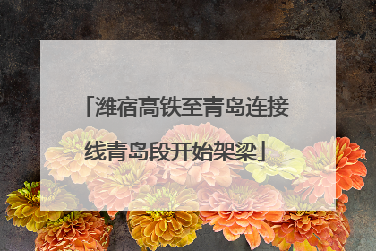 潍宿高铁至青岛连接线青岛段开始架梁