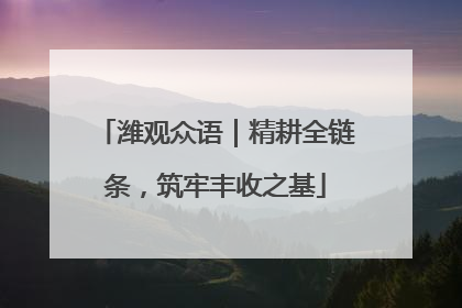潍观众语｜精耕全链条，筑牢丰收之基
