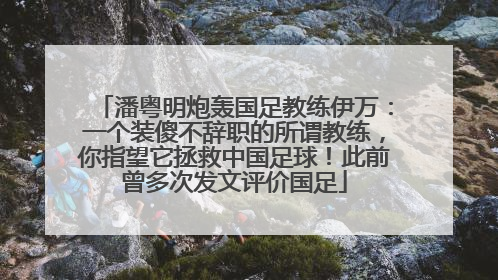 潘粤明炮轰国足教练伊万：一个装傻不辞职的所谓教练，你指望它拯救中国足球！此前曾多次发文评价国足