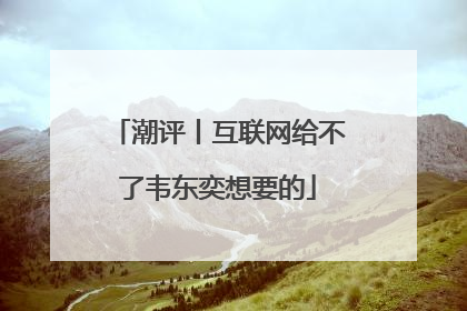 潮评丨互联网给不了韦东奕想要的