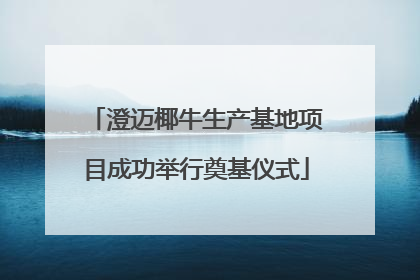 澄迈椰牛生产基地项目成功举行奠基仪式