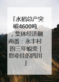 水稻总产突破4600吨，集体经济翻两番：永丰村的三年蜕变｜您牵挂的四川