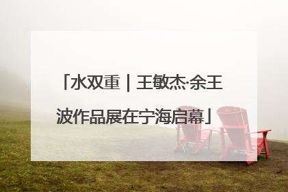 水双重｜王敏杰·余王波作品展在宁海启幕