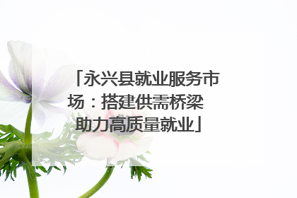 永兴县就业服务市场：搭建供需桥梁 助力高质量就业