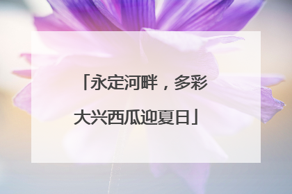 永定河畔，多彩大兴西瓜迎夏日