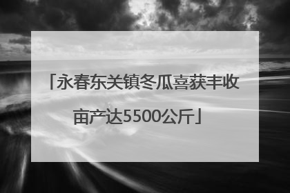 永春东关镇冬瓜喜获丰收 亩产达5500公斤