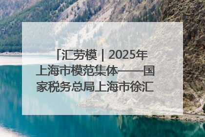 汇劳模｜2025年上海市模范集体——国家税务总局上海市徐汇区税务局第一税务所