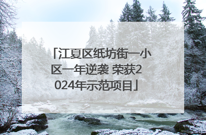 江夏区纸坊街一小区一年逆袭 荣获2024年示范项目