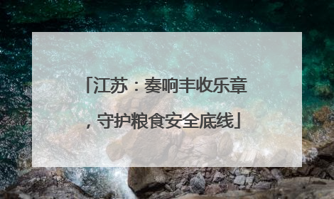 江苏：奏响丰收乐章，守护粮食安全底线