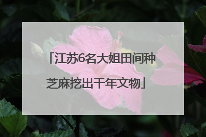 江苏6名大姐田间种芝麻挖出千年文物