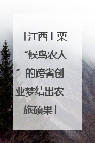 江西上栗“候鸟农人”的跨省创业梦结出农旅硕果