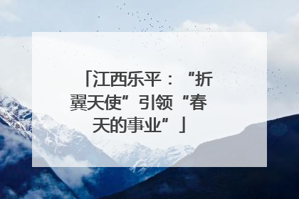 江西乐平：“折翼天使”引领“春天的事业”