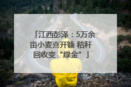 江西彭泽：5万余亩小麦喜开镰 秸秆回收变“绿金”
