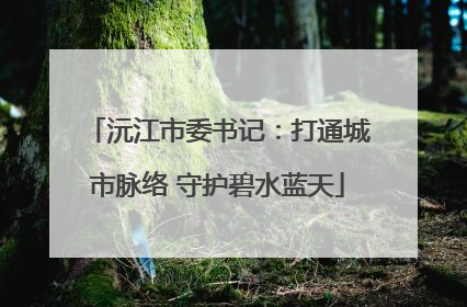 沅江市委书记：打通城市脉络 守护碧水蓝天