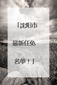沈阳市最新任免名单！