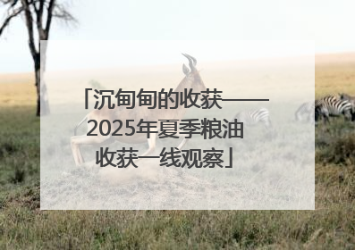 沉甸甸的收获——2025年夏季粮油收获一线观察