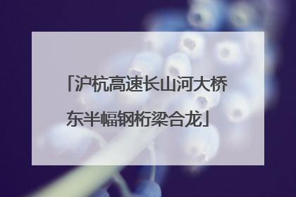 沪杭高速长山河大桥东半幅钢桁梁合龙