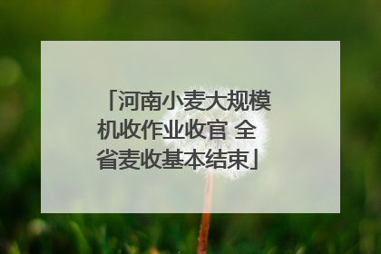 河南小麦大规模机收作业收官 全省麦收基本结束