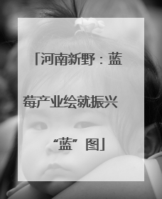 河南新野：蓝莓产业绘就振兴“蓝”图