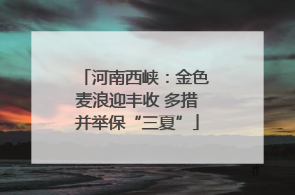 河南西峡：金色麦浪迎丰收 多措并举保“三夏”