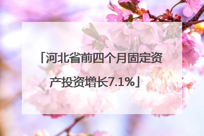 河北省前四个月固定资产投资增长7.1%