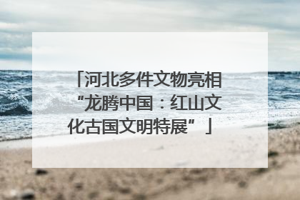 河北多件文物亮相“龙腾中国：红山文化古国文明特展”