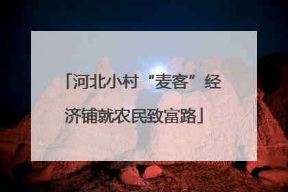 河北小村“麦客”经济铺就农民致富路