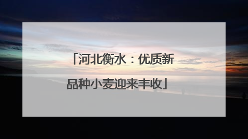 河北衡水：优质新品种小麦迎来丰收