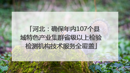河北：确保年内107个县域特色产业集群省级以上检验检测机构技术服务全覆盖