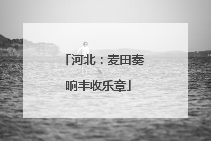 河北：麦田奏响丰收乐章